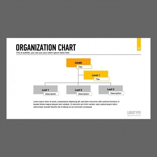 holding company structure pdf