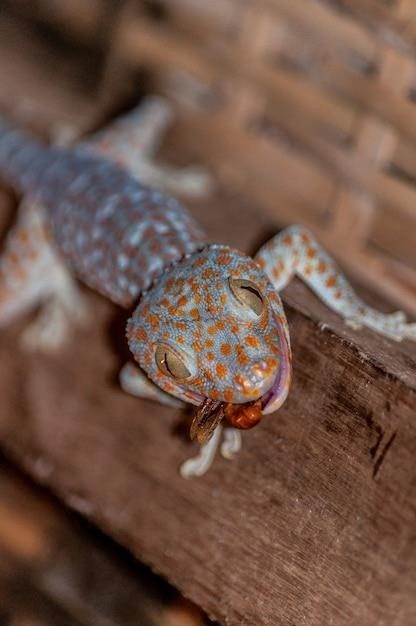 leopard gecko care sheet pdf